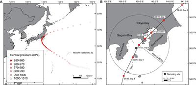 Plastic After an Extreme Storm: The Typhoon-Induced Response of Micro- and Mesoplastics in Coastal Waters